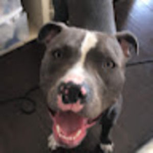 Meet your Posher, Mai